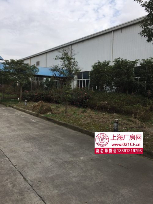  G1406 金山工業(yè)區(qū)單層廠房 高速出口 600平起租 單層帶噴啉 廠房倉(cāng)庫(kù)出租
