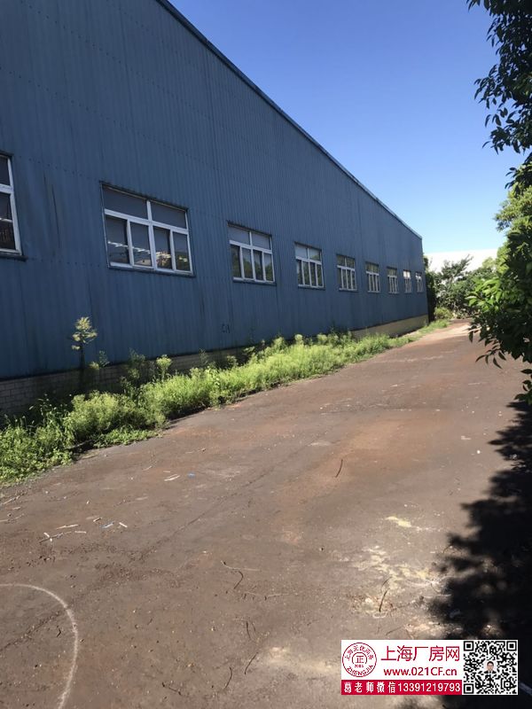G1685 寶山區(qū)月楊工業(yè)園 春和路 單層可裝行車獨院1.27萬平方米廠房倉庫出租 可裝大噸位行車
