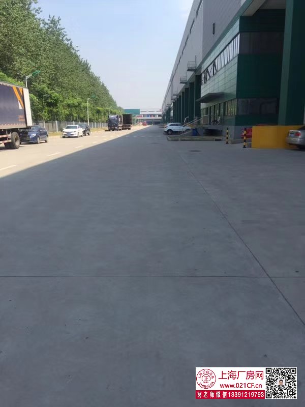 G1676 寶山月浦蘊川路高標(biāo)準(zhǔn)帶平臺物流倉庫 廠房出租 1000平起租