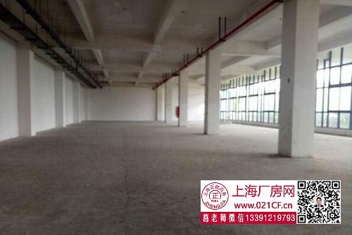 G1729 浦東 航頭鎮(zhèn) 8000平方米廠房倉庫出租  100平起租 適合倉儲電商 價格優(yōu)惠