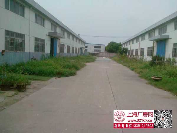 G1756 金山區(qū)漕涇鎮(zhèn)亭衛(wèi)公路單層廠房倉庫出租 可分租 0.65元起  丙類消防  104地塊可環(huán)評(píng)