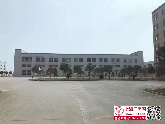 G1767 金山楓涇鎮(zhèn)建安路雙層廠房倉庫出租 1000平起租  104地塊可環(huán)評(píng) 無稅收要求