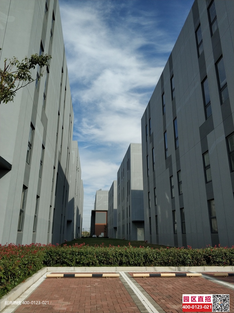 G2842 【開發(fā)商直租】松江新橋申港路3255號國家級開發(fā)區(qū)帶裝修研發(fā)廠房出租 拎包入住 610平起租 金地威新產(chǎn)業(yè)園