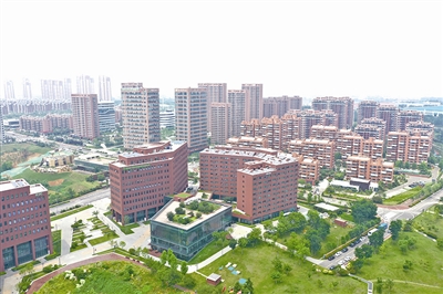 青島國際招商產(chǎn)業(yè)園：全球精準招商 打造優(yōu)勢產(chǎn)業(yè)集聚高地