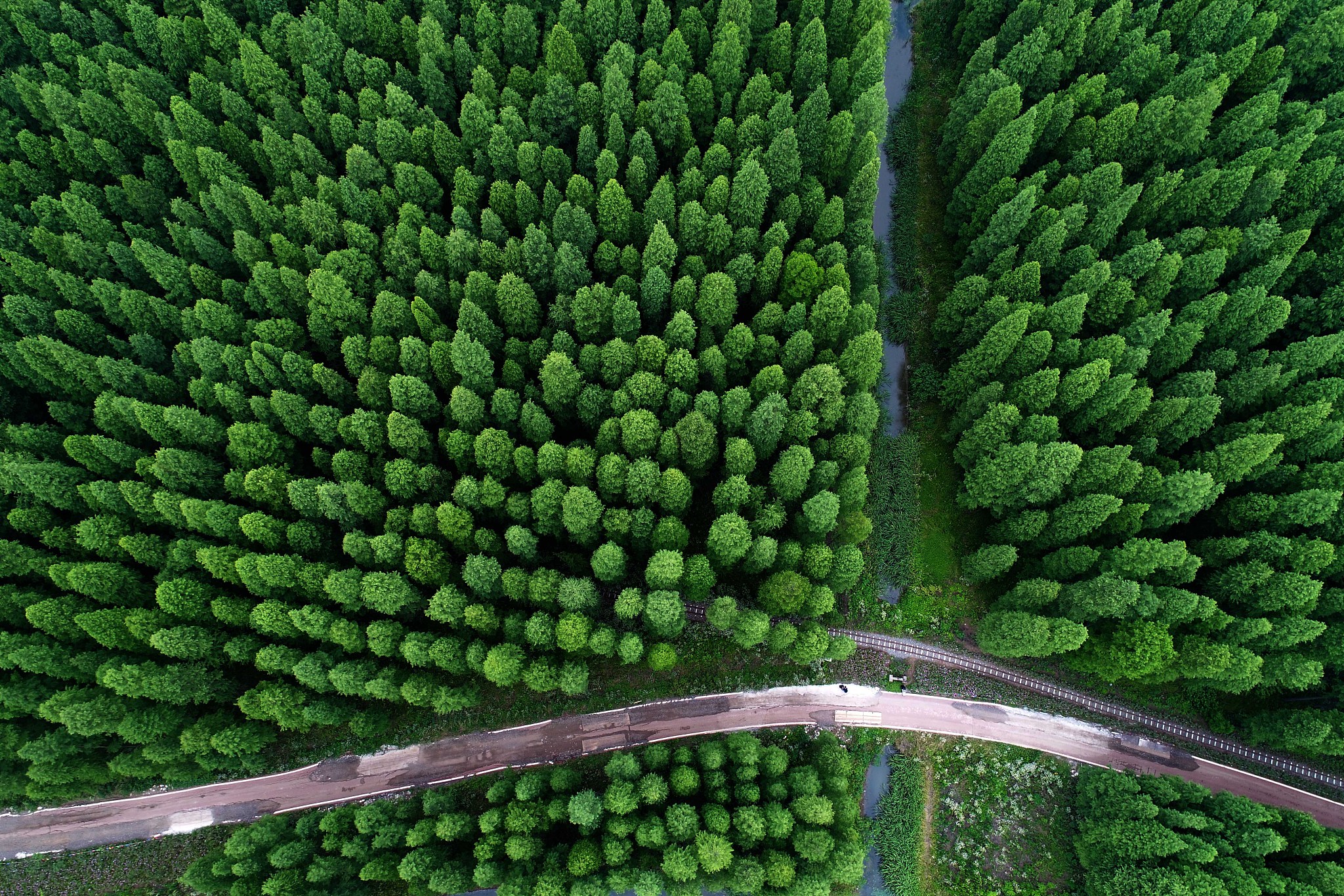 【新時(shí)代 新作為 新篇章】江蘇金湖：白天深呼吸 晚上數(shù)星星