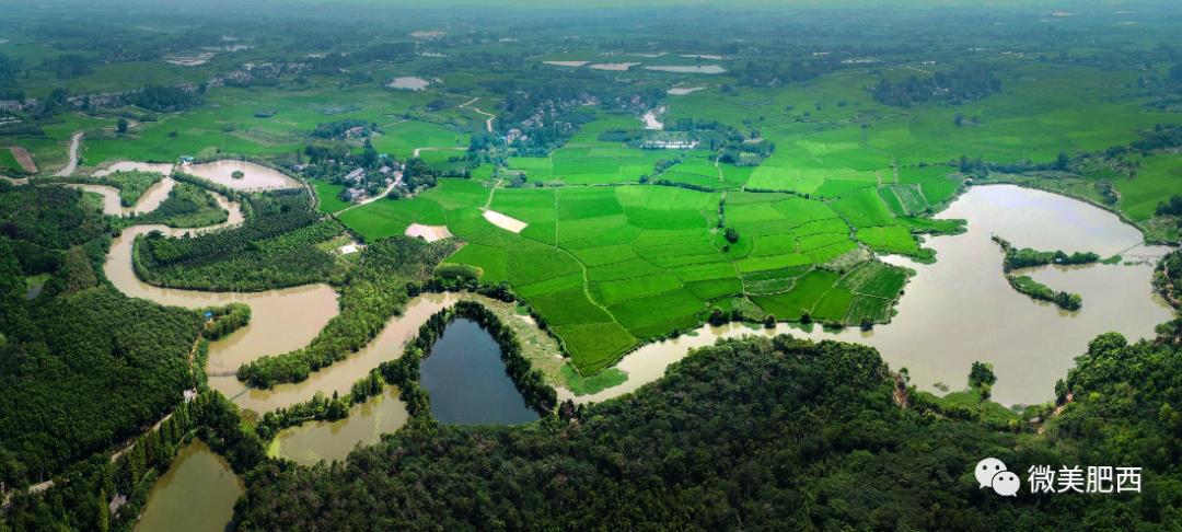 乘風(fēng)破浪的肥西之花崗篇：發(fā)力改革創(chuàng)新 駛?cè)氚l(fā)展“快車(chē)道”