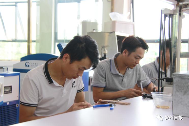 賀州 “######地”模式加快全力東融!