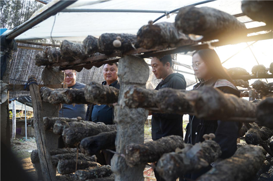 平頂山市魯山縣財政局：361萬元助力特色農(nóng)業(yè)保險試點工作