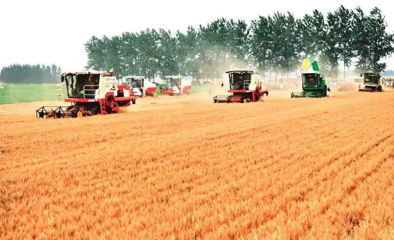 農(nóng)洽會(huì)打開國(guó)際朋友圈國(guó)際農(nóng)都駐馬店再出發(fā)