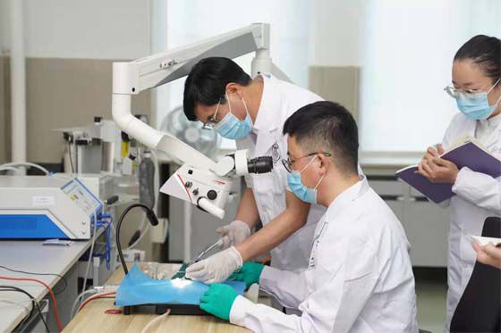 點贊！貴州醫(yī)科大學2021年度獲批國家自然科學基金項目再創(chuàng)新高