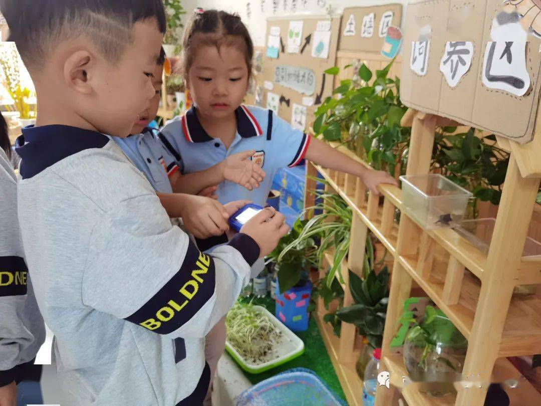 小烏龜你好！——開發(fā)區(qū)中南熙悅幼兒園班本課程敘事