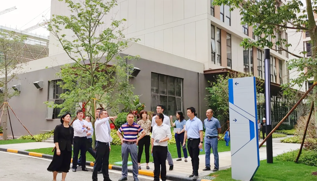 中南高科聚焦產(chǎn)業(yè)資源導入和服務能力布局更多特色型產(chǎn)業(yè)集群