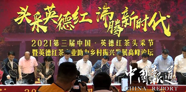 第三屆中國英德紅茶頭彩節(jié)開幕——摘下頭彩新芽制成蕞好春茶