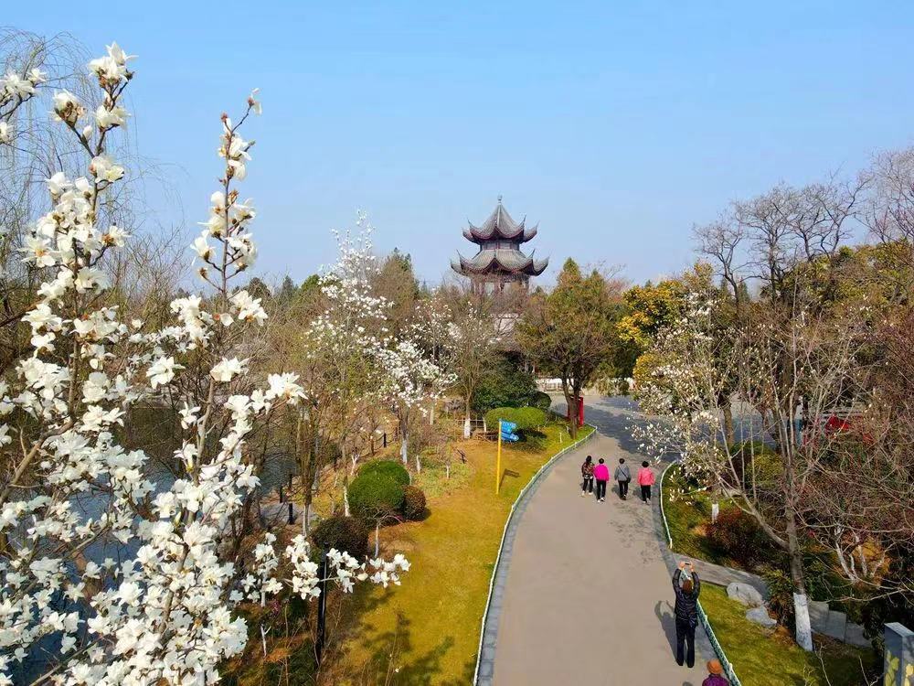 推進(jìn)產(chǎn)業(yè)結(jié)構(gòu)調(diào)整！壯士斷腕后徐州銅山能否涅槃迎新生？